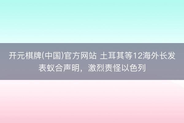 开元棋牌(中国)官方网站 土耳其等12海外长发表蚁合声明，激烈责怪以色列